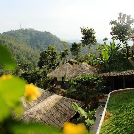 Hotel Eco Tones à Munnar Extérieur photo